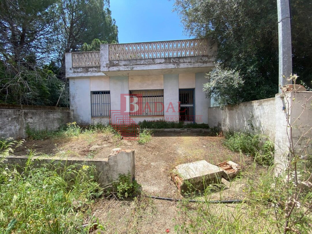 Terreno en La Barraca